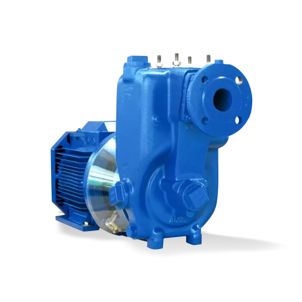 Dry-installed pump AU Monobloc
